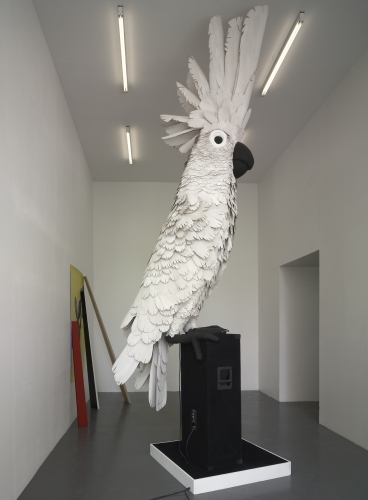 So many reasons to draw a parrot - Sylvain Rousseau