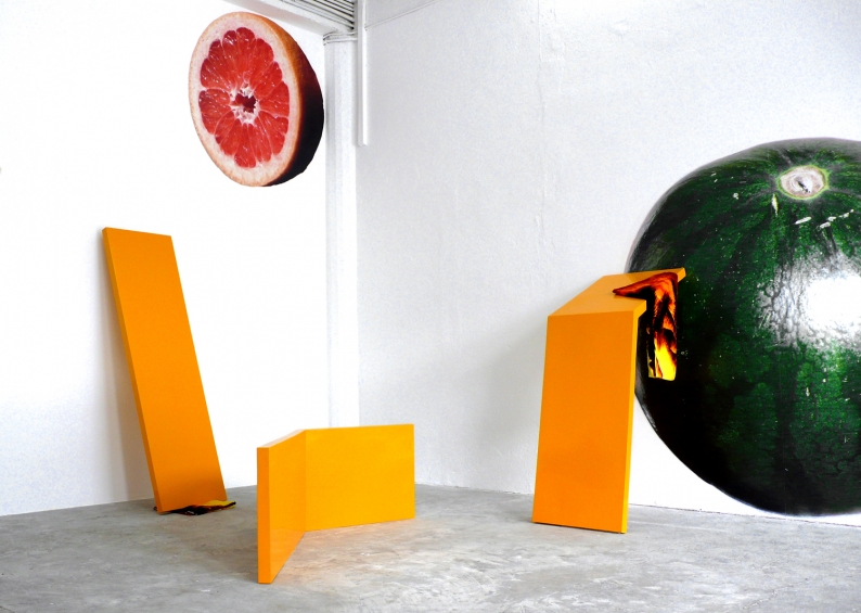 Vérité Tropicale - Francis Baudevin,Anthea Hamilton,Mick Peter,Magali Reus,Jeffrey Valance