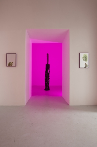 Archipel - Adrien Missika