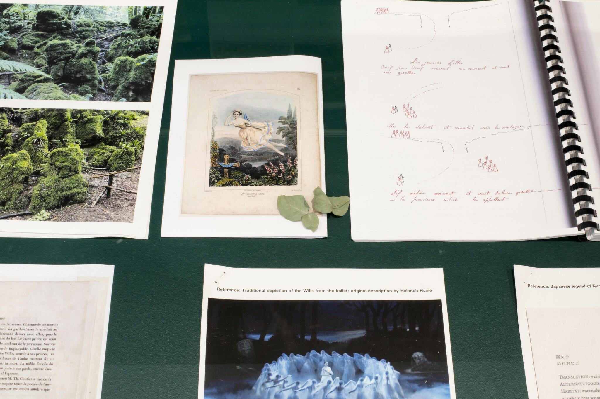 Studies for a Series of Adaptations of Giselle - salle 1 - Cécile B. Evans