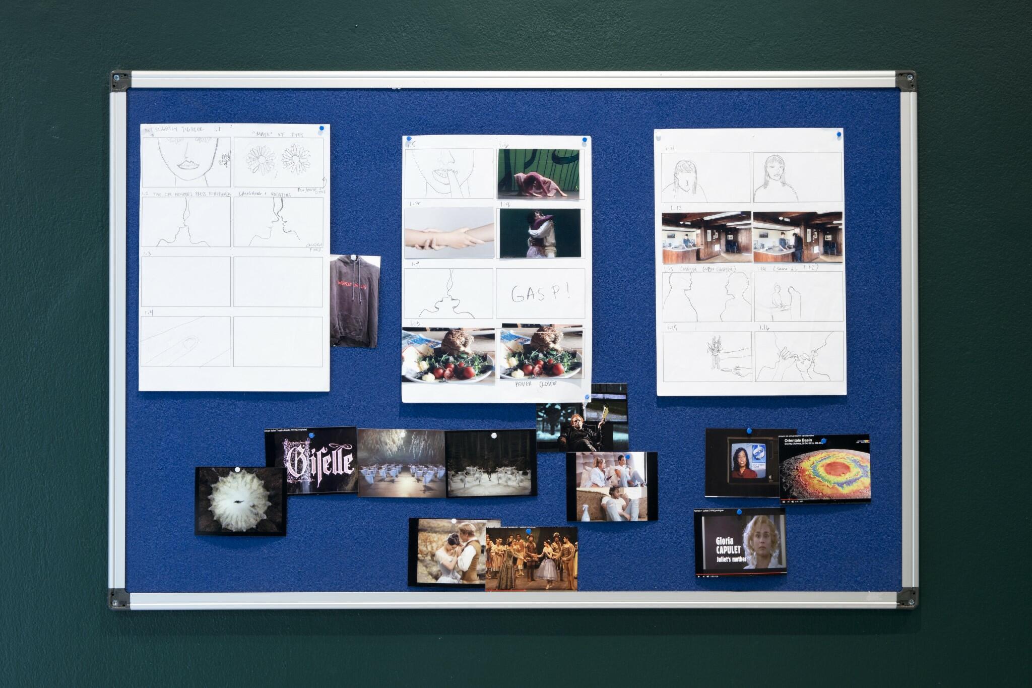 Studies for a Series of Adaptations of Giselle - salle 1 - Cécile B. Evans