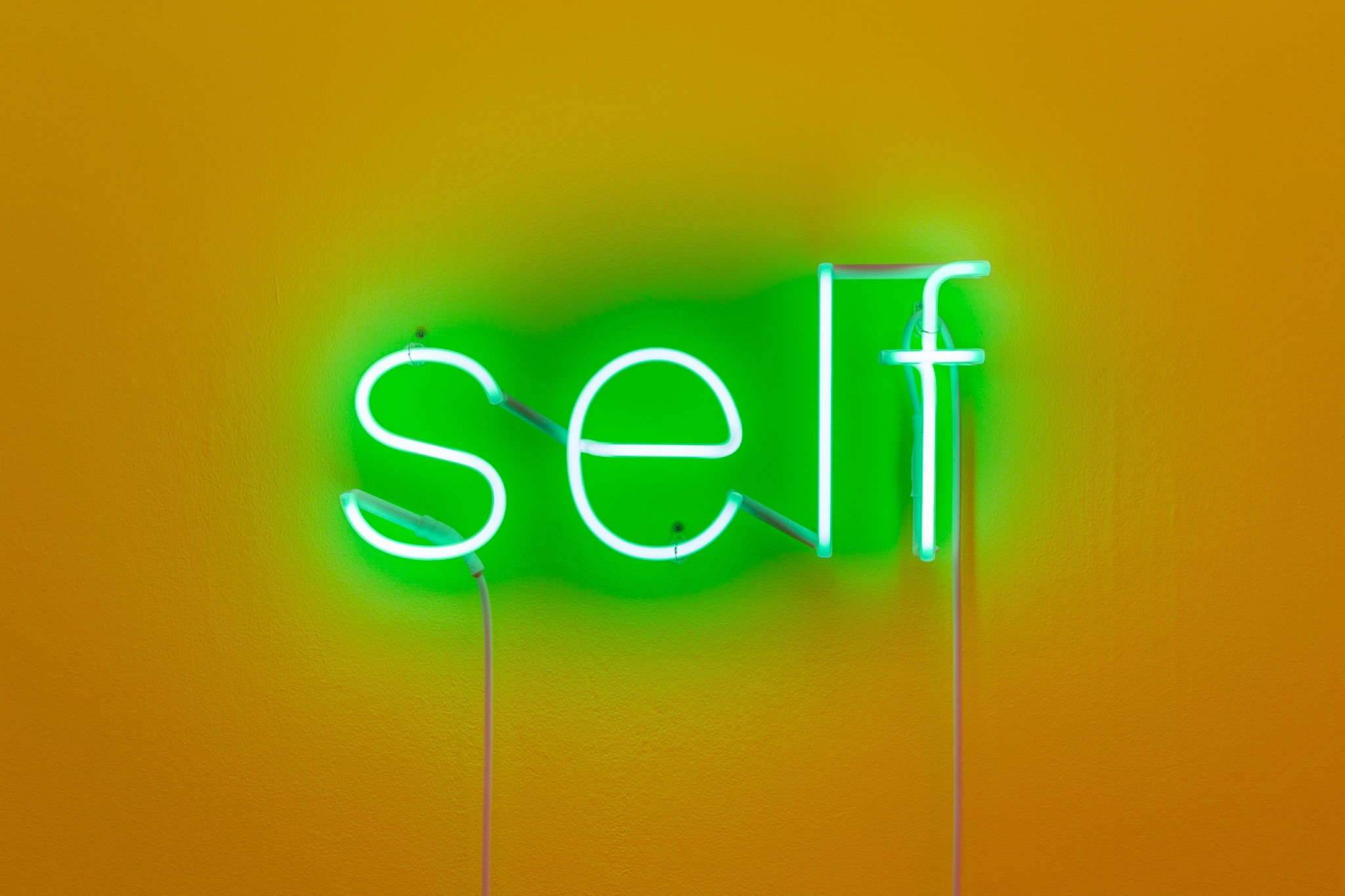 Most people are wrong about things - salle 1 - Charlie Hamish Jeffery