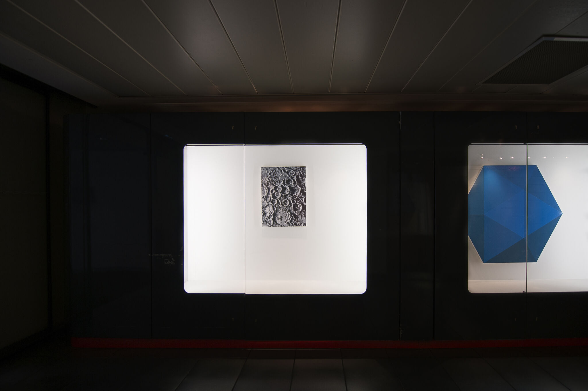 Displays - David Malek