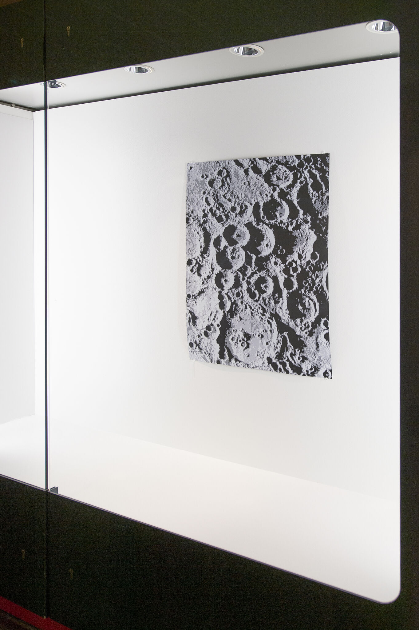 Displays - David Malek