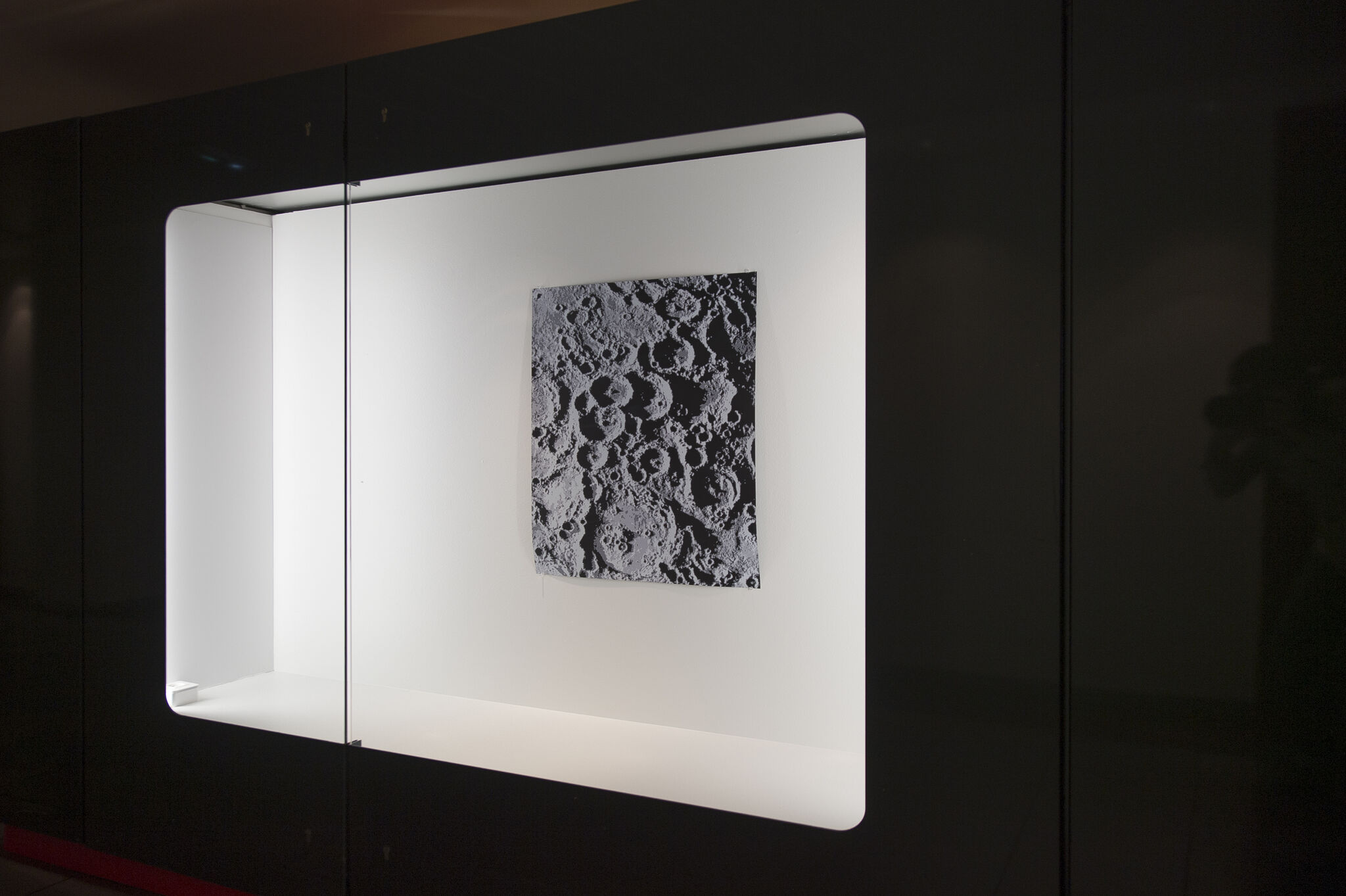 Displays - David Malek