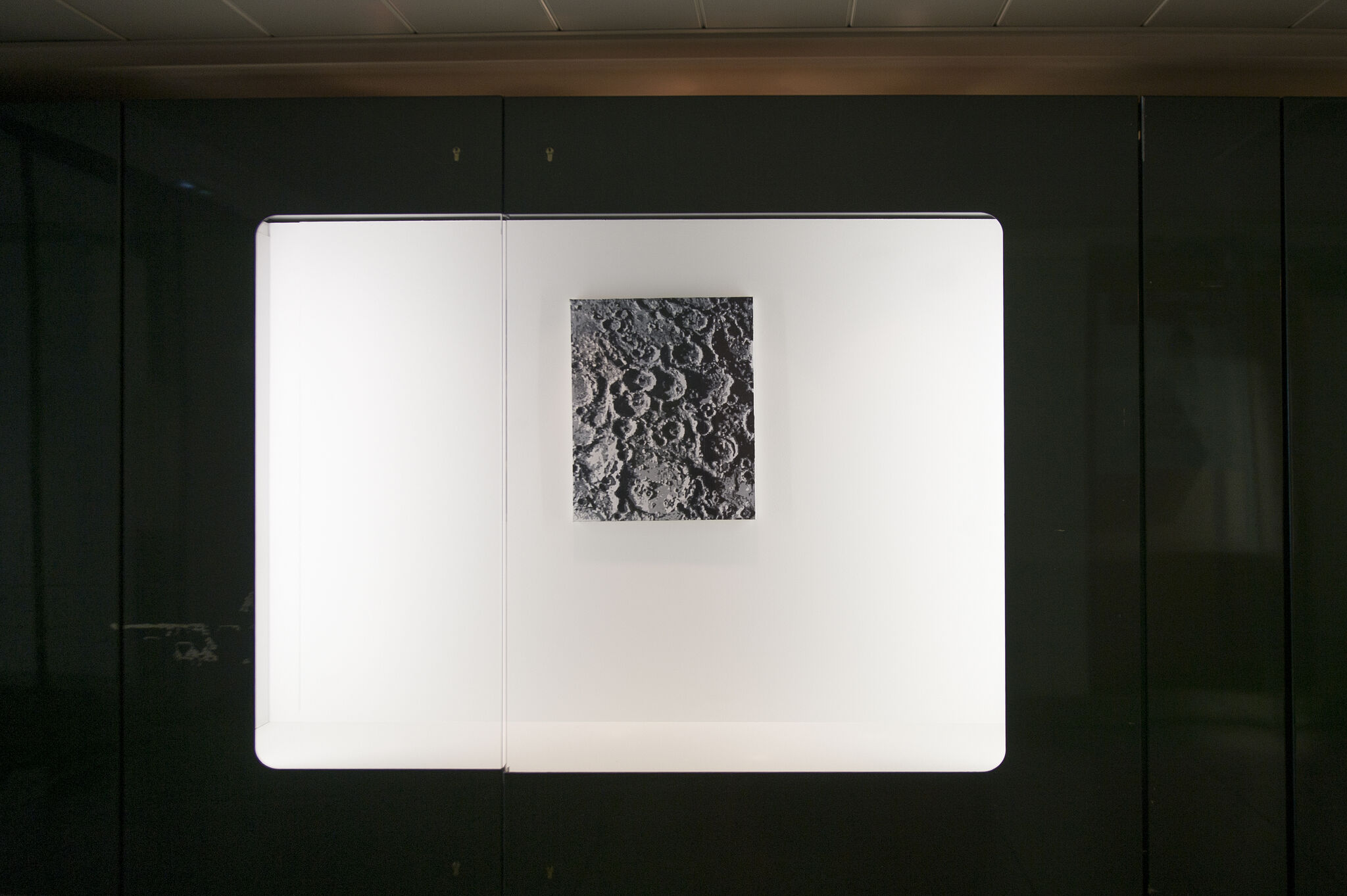 Displays - David Malek