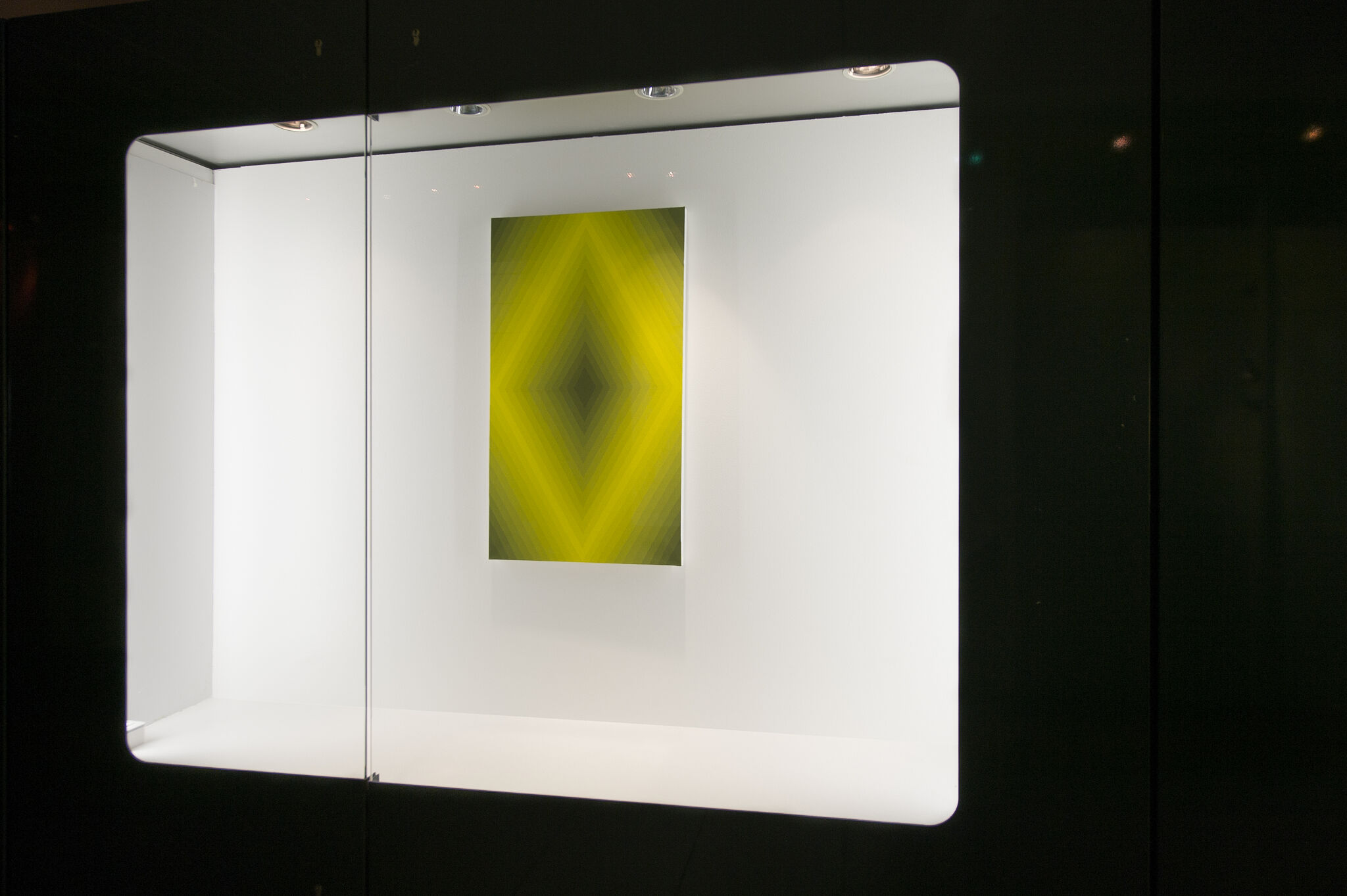 Displays - David Malek
