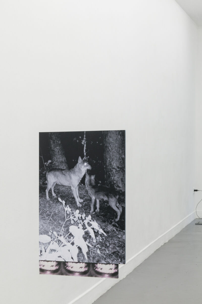 EVERY ENTRANCE IS AN EXIT - Gina Proenza